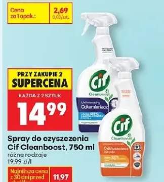 spray do czyszczenia