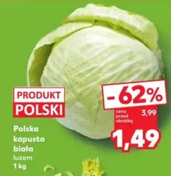kapusta biała