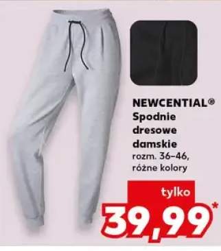 spodnie dresowe damskie