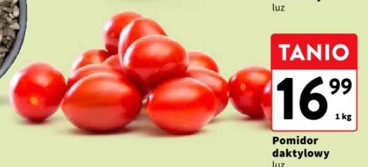 pomidory daktylowe