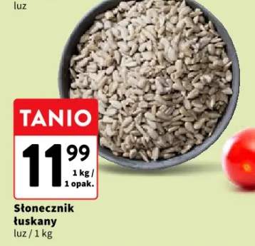 słonecznik łuskany