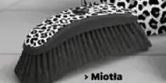 miotła