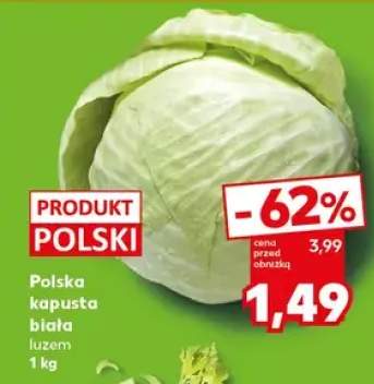 kapusta biała