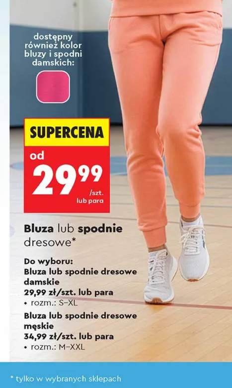 spodnie dresowe damskie