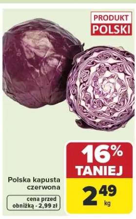 kapusta czerwona