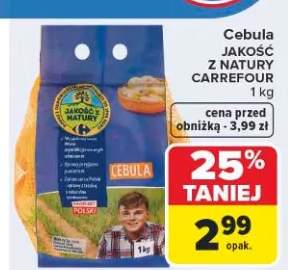 cebula