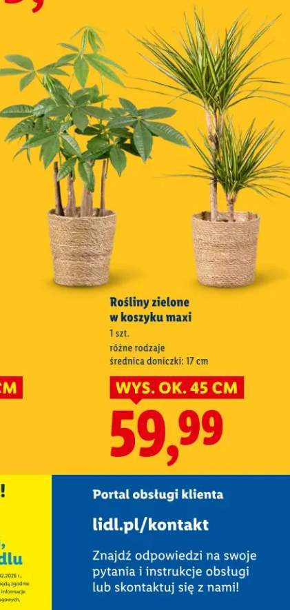 nawóz do roślin zielonych