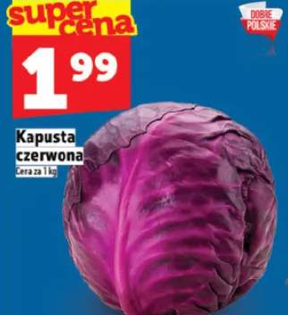 kapusta czerwona