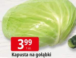 kapusta