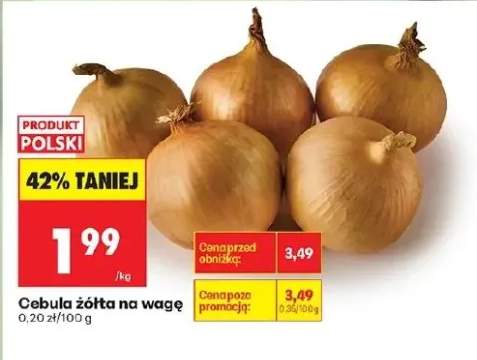 cebula żółta