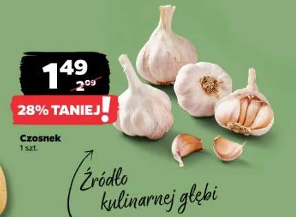 czosnek