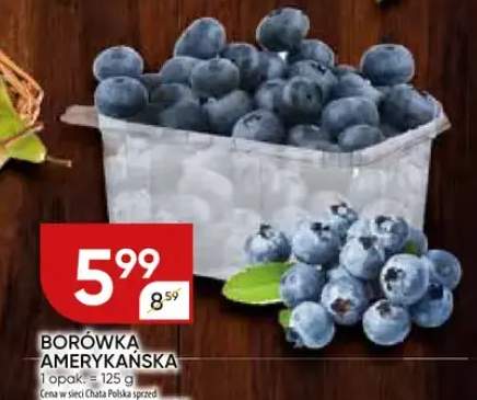 borówka amerykańska