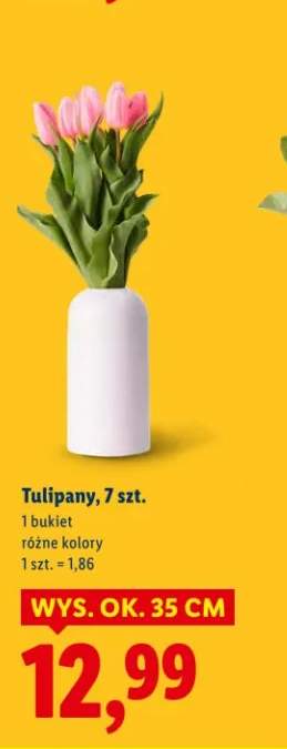 tulipany