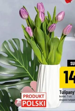 tulipany