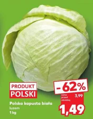 kapusta biała