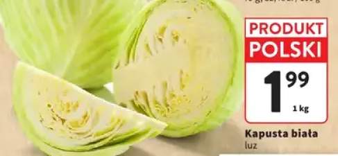 kapusta biała