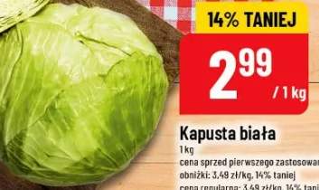 kapusta biała