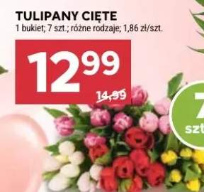tulipany