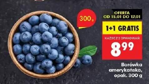 borówka amerykańska