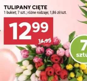 tulipany