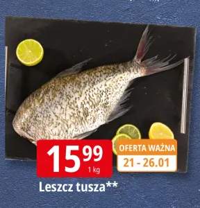leszcz tusza