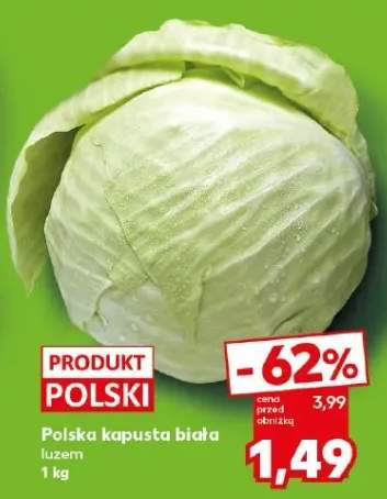 kapusta biała