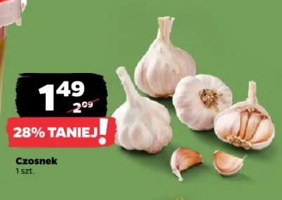 czosnek