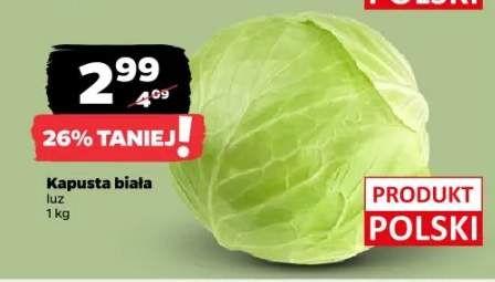 kapusta biała