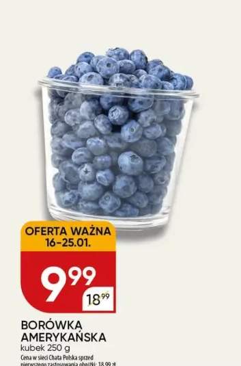 borówka amerykańska