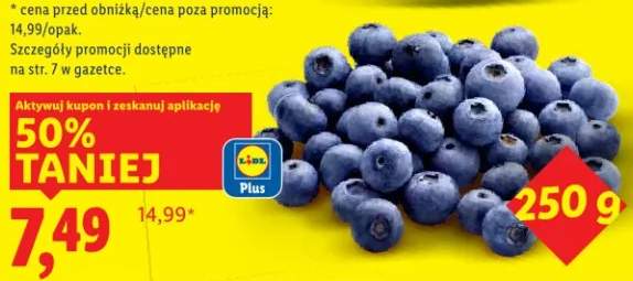 borówka amerykańska