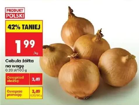 cebula żółta