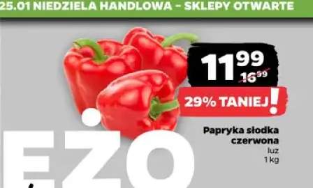 papryka słodka