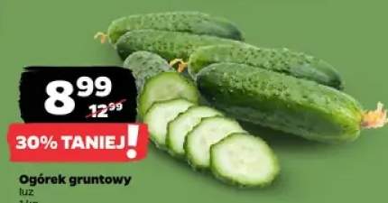 ogórek gruntowy