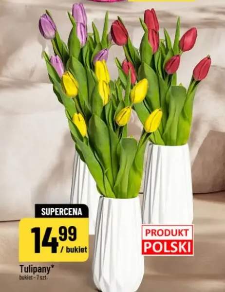 tulipany