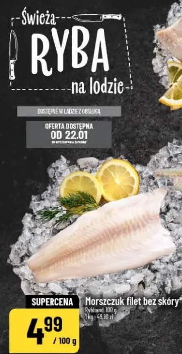 morszczuk filet