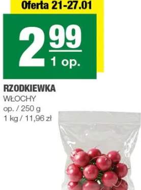 rzodkiewka