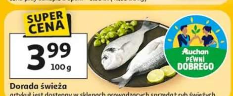 dorada świeża