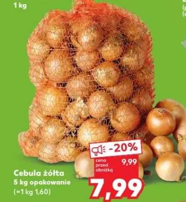 cebula żółta