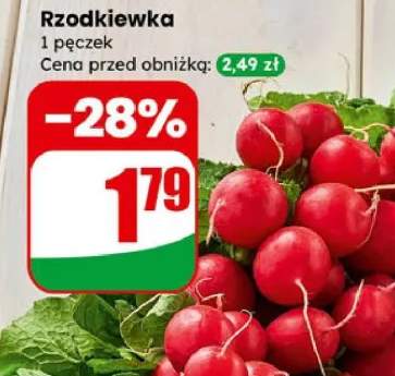 rzodkiewka
