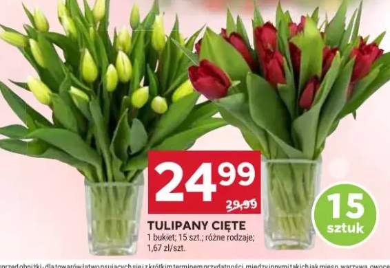 tulipany