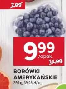 borówka amerykańska