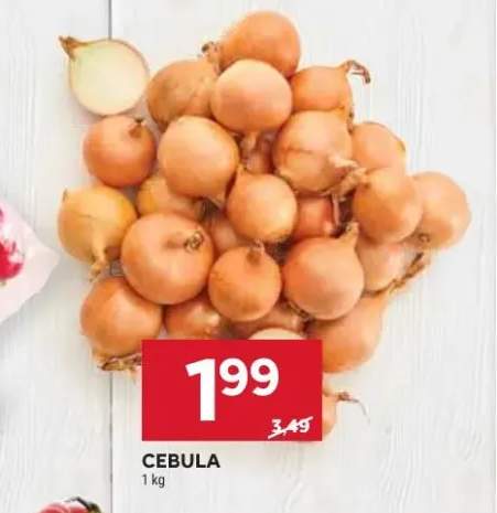 cebula