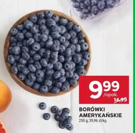 borówka amerykańska