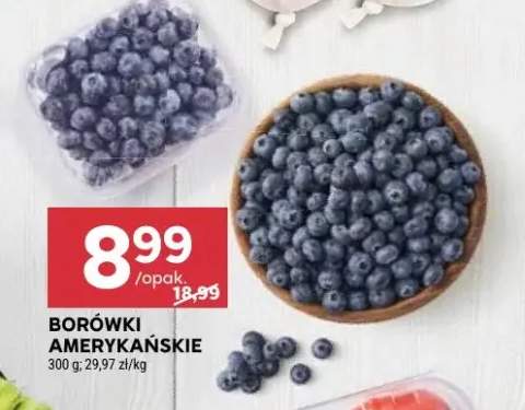 borówka amerykańska