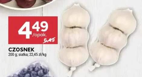 czosnek