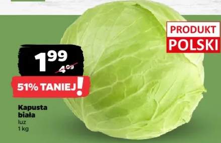 kapusta biała