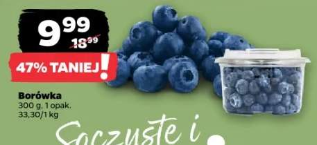 borówki