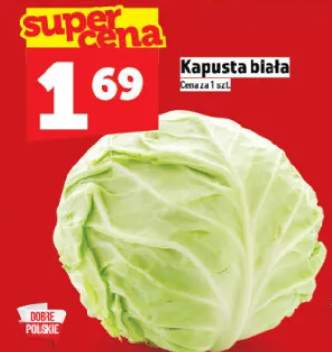 kapusta biała