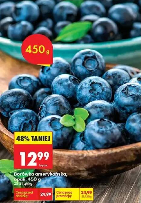 borówka amerykańska