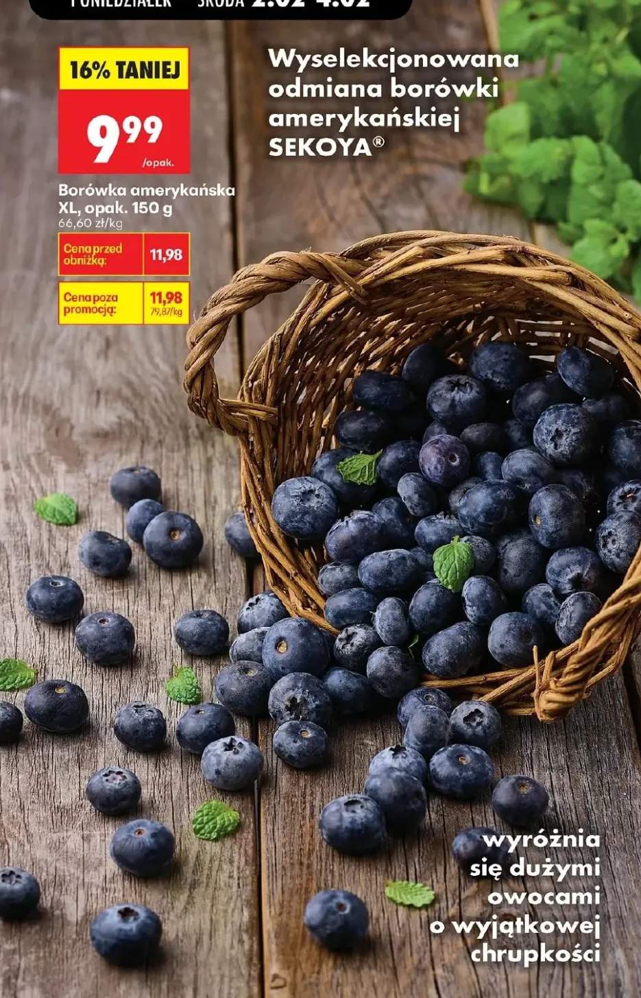 borówka amerykańska